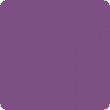 YOU CLAY COL.VIOLA INTENSO CONF.56 GRAMMI (69923 VIVID PURPLE)